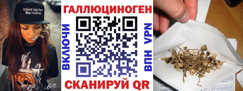 Псилоцибиновые грибы Cubensis  Купить где  Уварово 